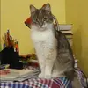 Отзыв от Ольга Калашникова